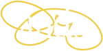Media Library Categories Premium